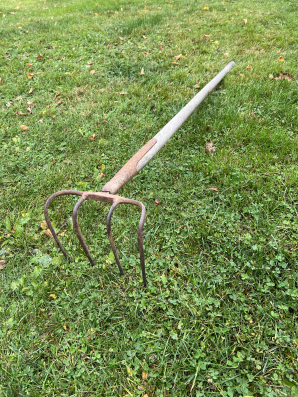 dinghârkâ